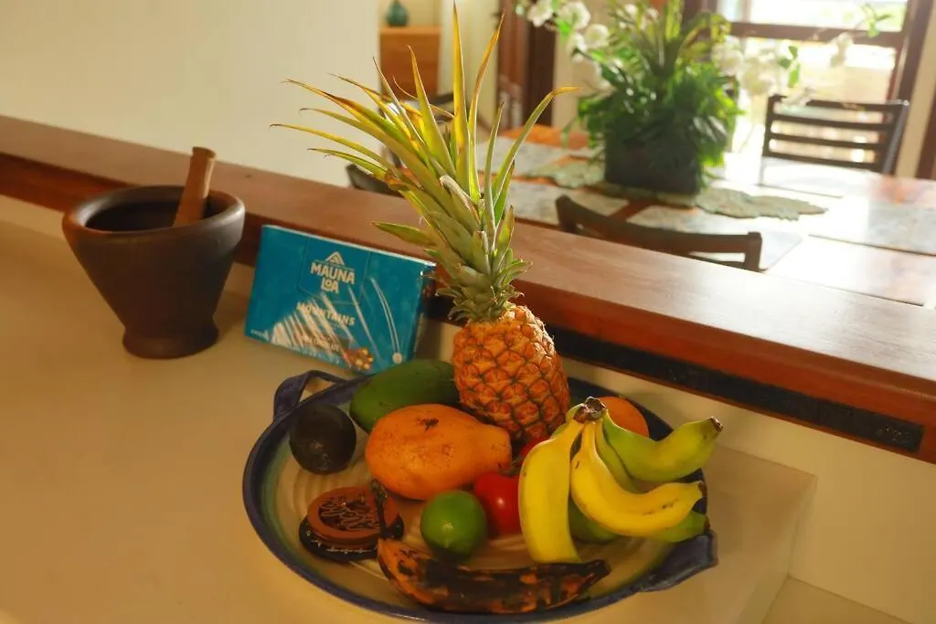 Kehena Black Sand Beach House - Ocean View Swim Spa Pahoa