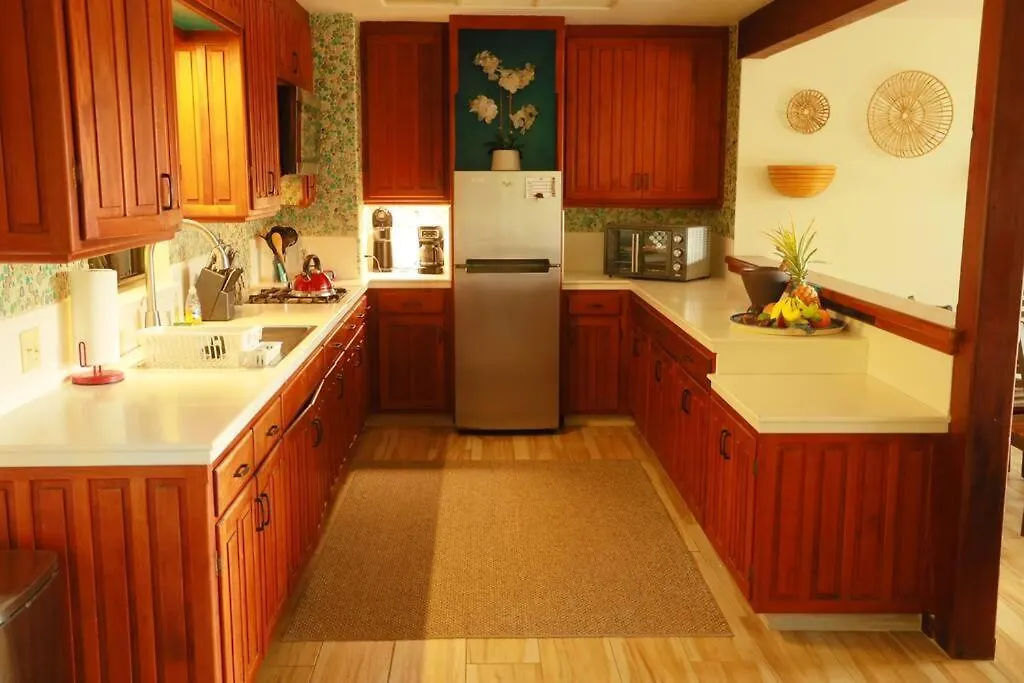 Kehena Black Sand Beach House - Ocean View Swim Spa Pahoa 0*,