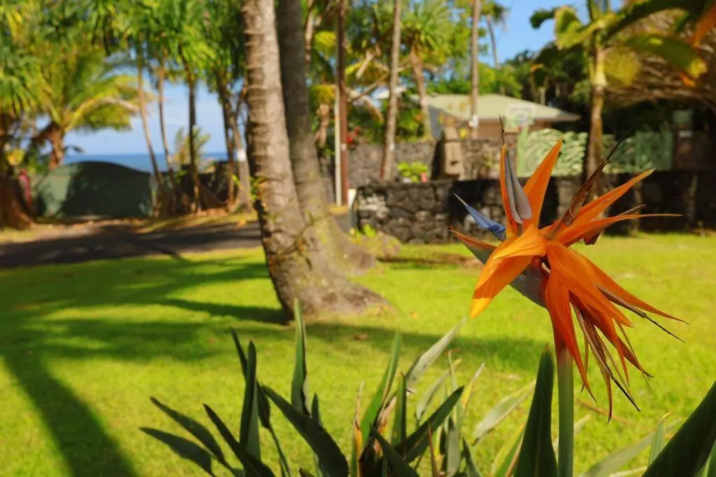 Kehena Black Sand Beach House - Ocean View Swim Spa Pahoa Holiday home