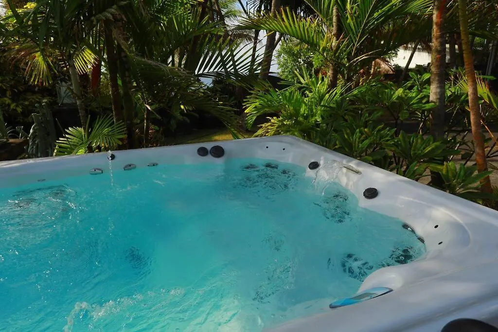 Kehena Black Sand Beach House - Ocean View Swim Spa Pahoa