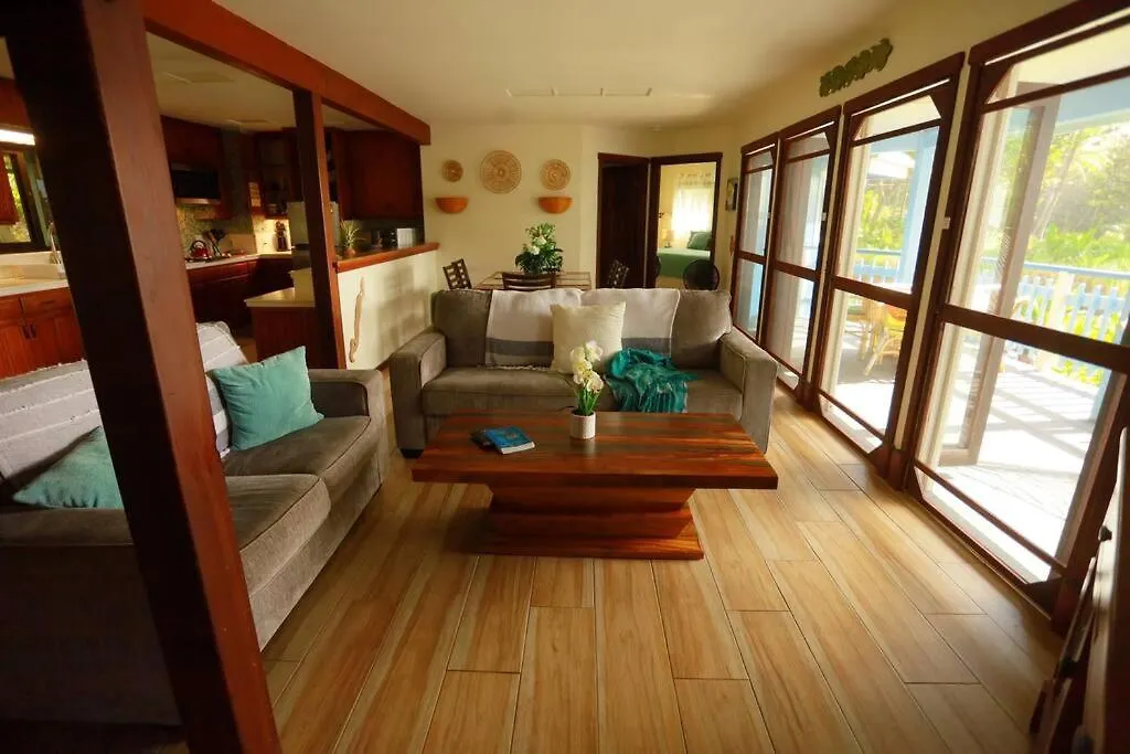 Kehena Black Sand Beach House - Ocean View Swim Spa Pahoa Holiday home
