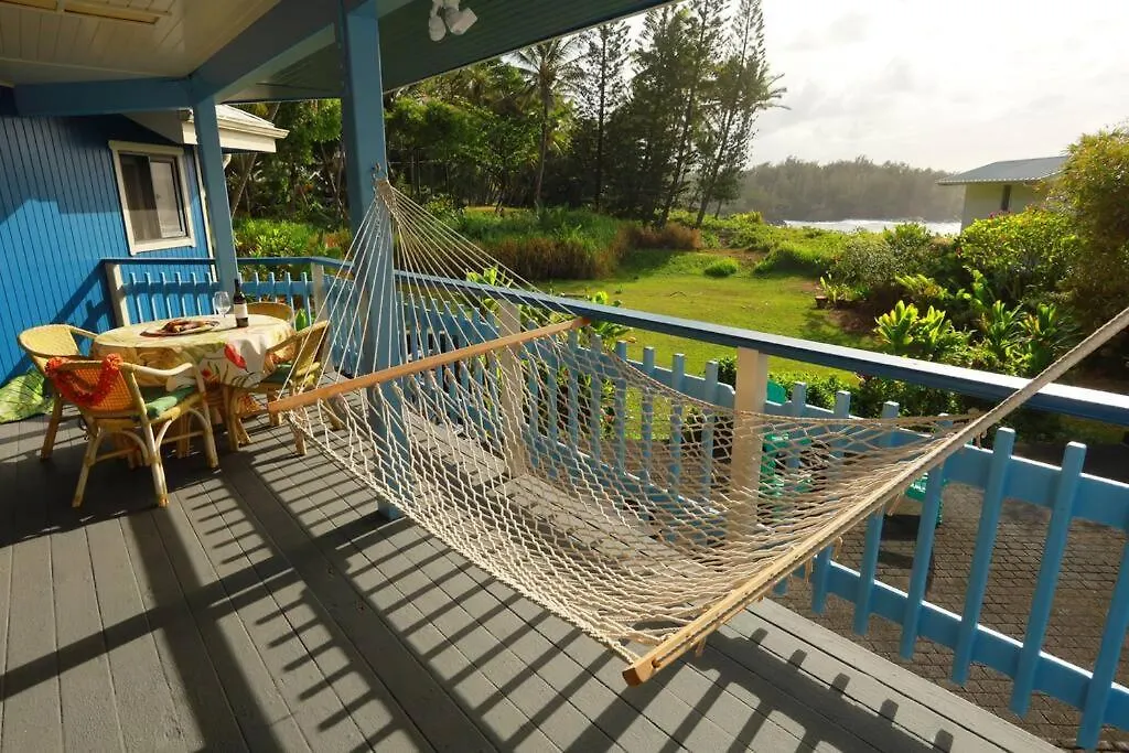 Kehena Black Sand Beach House - Ocean View Swim Spa Pahoa United States