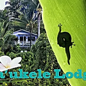 Ma'ukele Couette-café