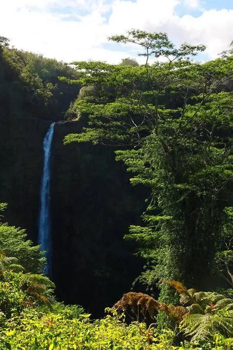 Kehena Black Sand Beach House - Ocean View Swim Spa Pahoa