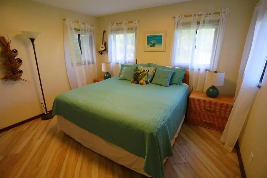 Kehena Black Sand Beach House - Ocean View Swim Spa Pahoa